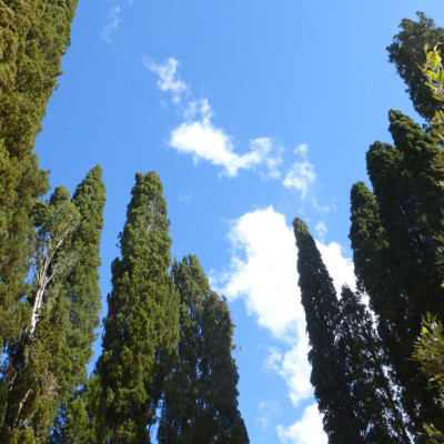 Tuscany sky