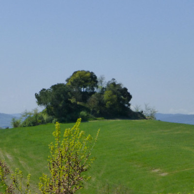 Tuscany